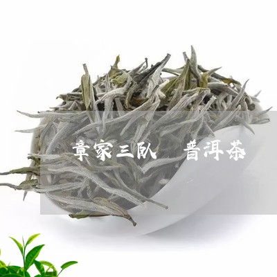 章家三队 普洱茶/2023031691682